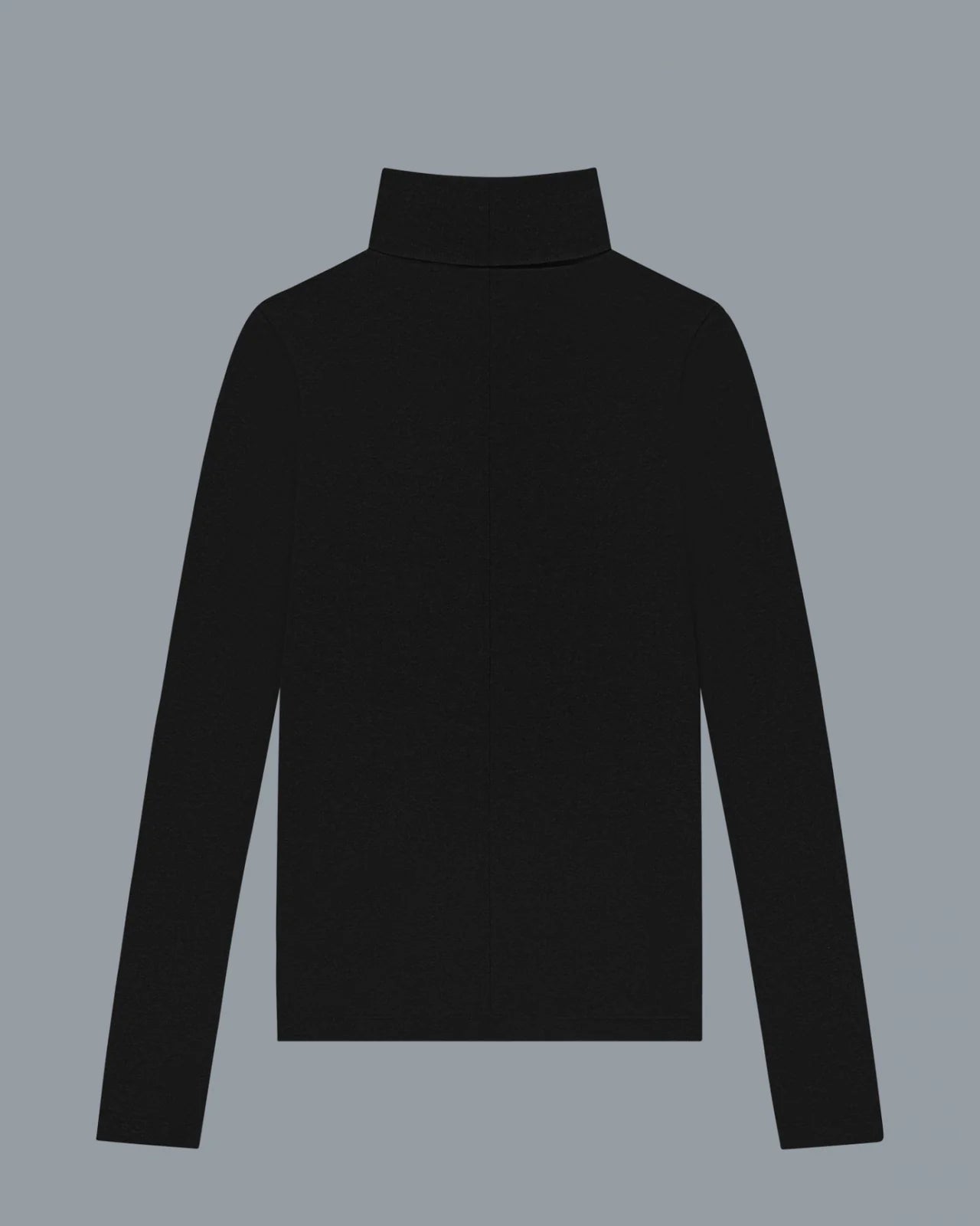 Dinah Long Sleeve Turtleneck in Black main image 1