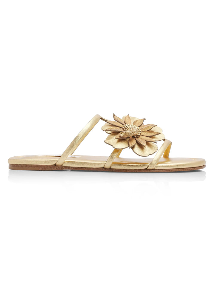 Belara Slide - Gold