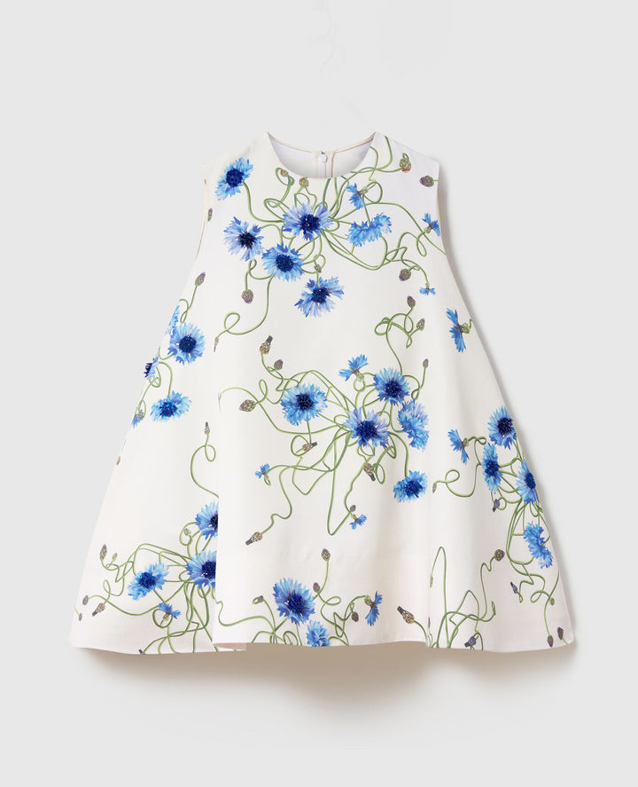 Floral A-line Dress - Blue Multi