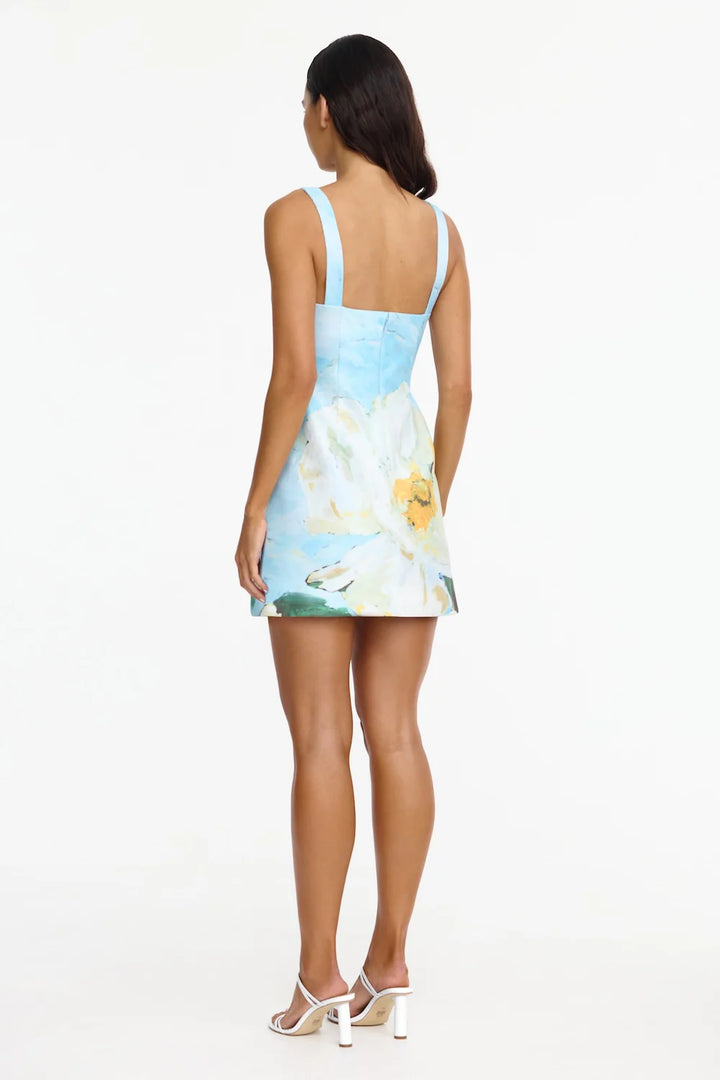 Newcatton Mini Dress - Blue Multi