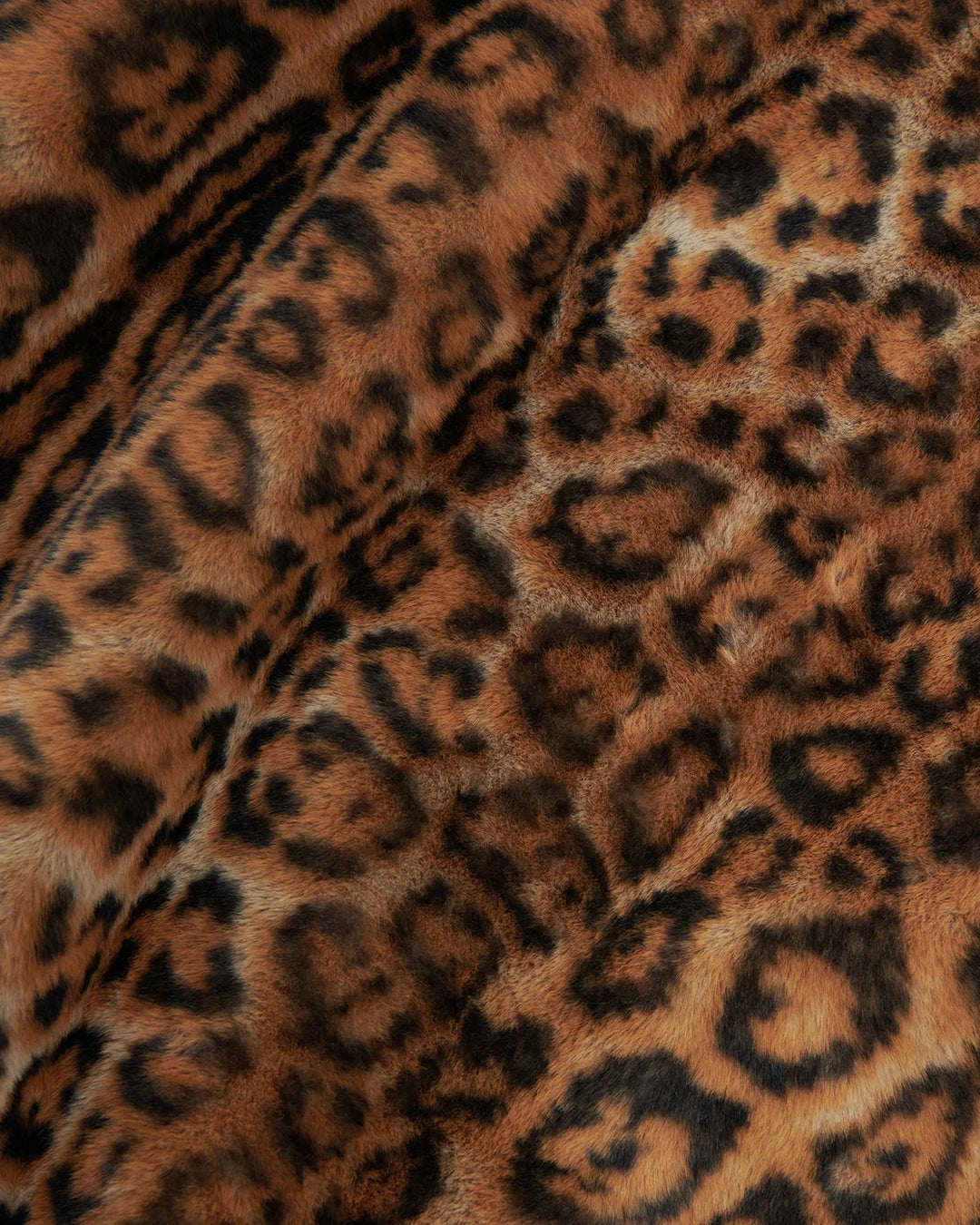 Brady Leopard Blanket - 60X80
