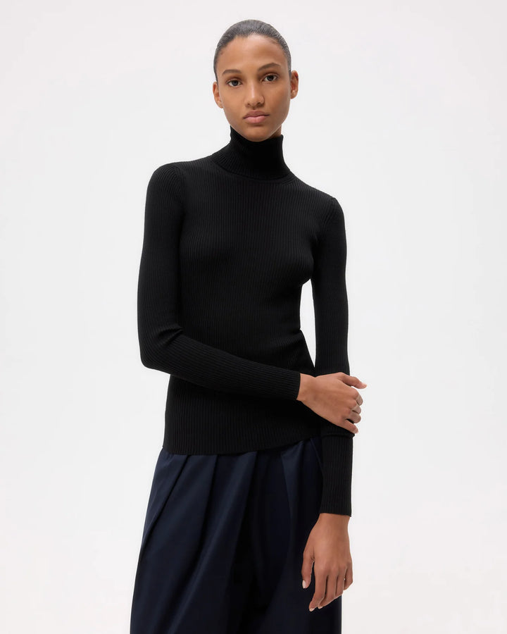 Knit Turtleneck in Merino Wool - Black