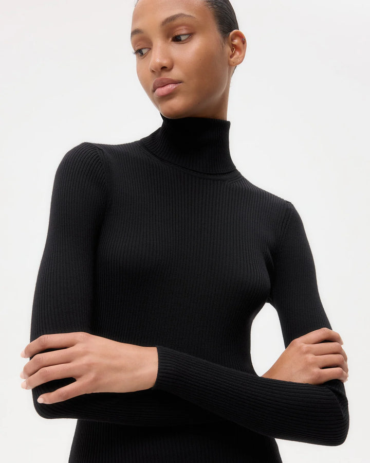 Knit Turtleneck in Merino Wool - Black