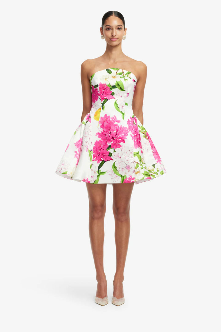 Reese Bustier Mini Dress - White Multi