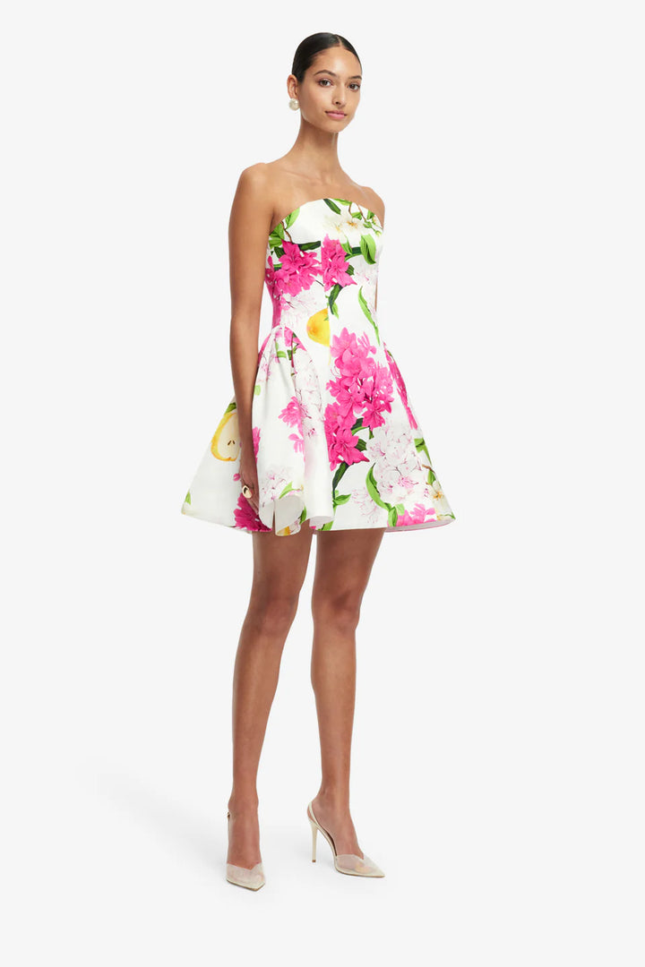 Reese Bustier Mini Dress - White Multi