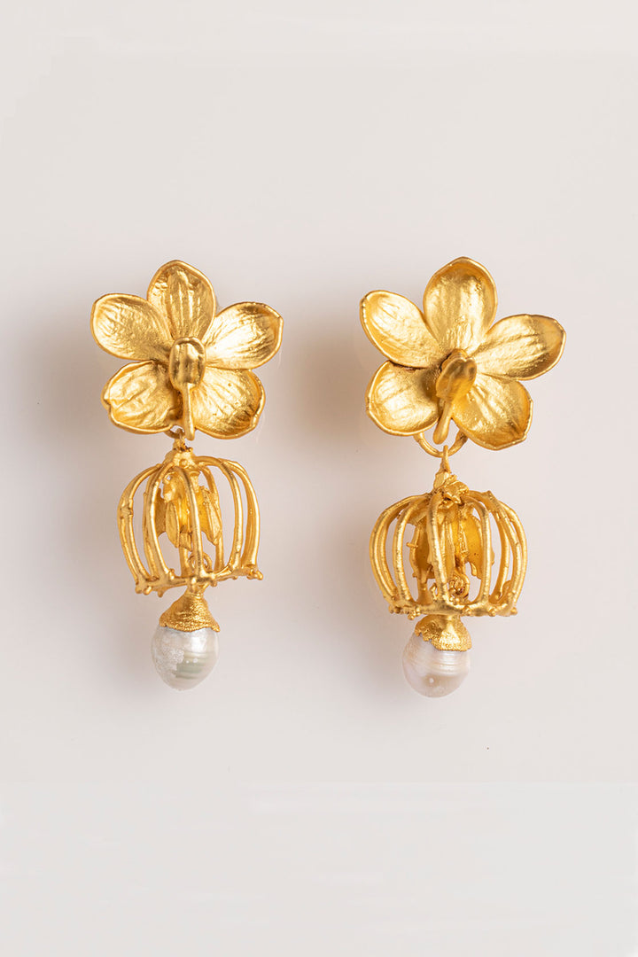 Vanda Orchid and Pearl Earnings