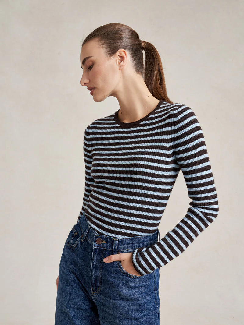 Striped Fitted Sweater - Brown/Blue