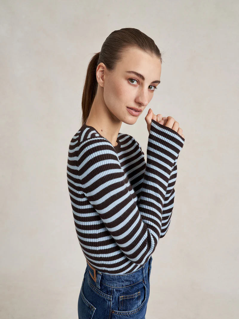 Striped Fitted Sweater - Brown/Blue