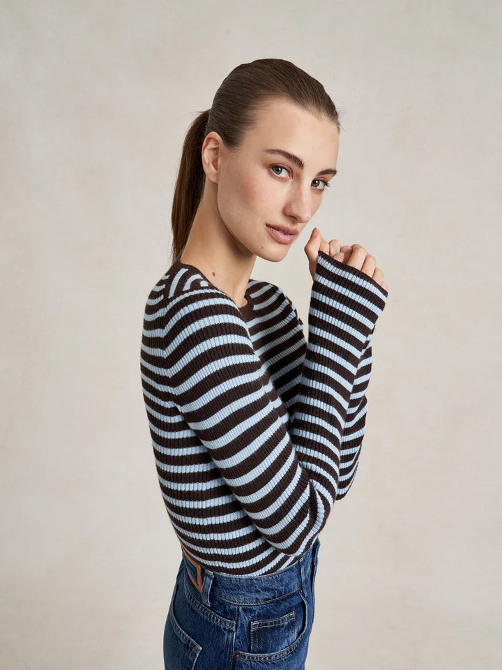 Striped Fitted Sweater - Brown/Blue