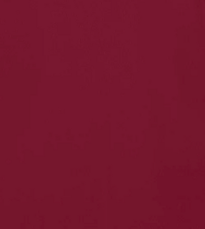 Dinah Turtleneck LW - More Colors Available