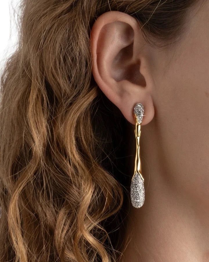 Solanales Linear Crystal Teardrop Earring - Earrings