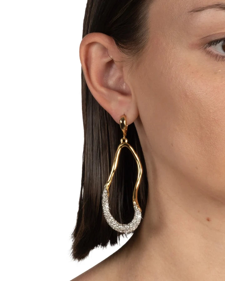 Solanales Crystal Curve Leverback Drop Earrings