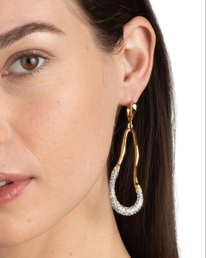 Solanales Crystal Curve Leverback Drop Earrings