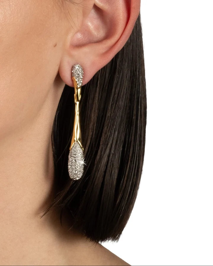Solanales Linear Crystal Teardrop Earring - Earrings
