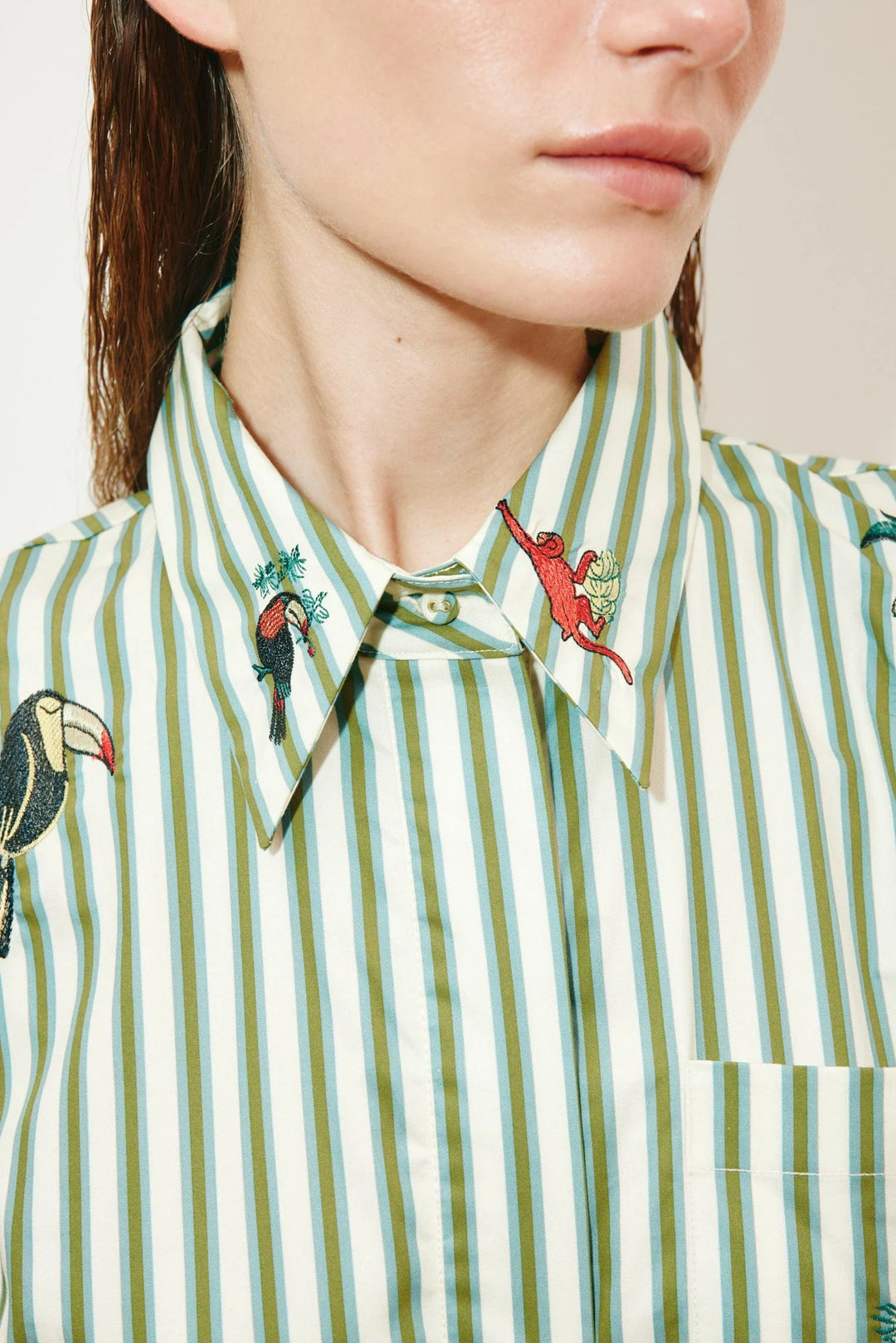 Bisou Embroidered shirtdress - Green Print