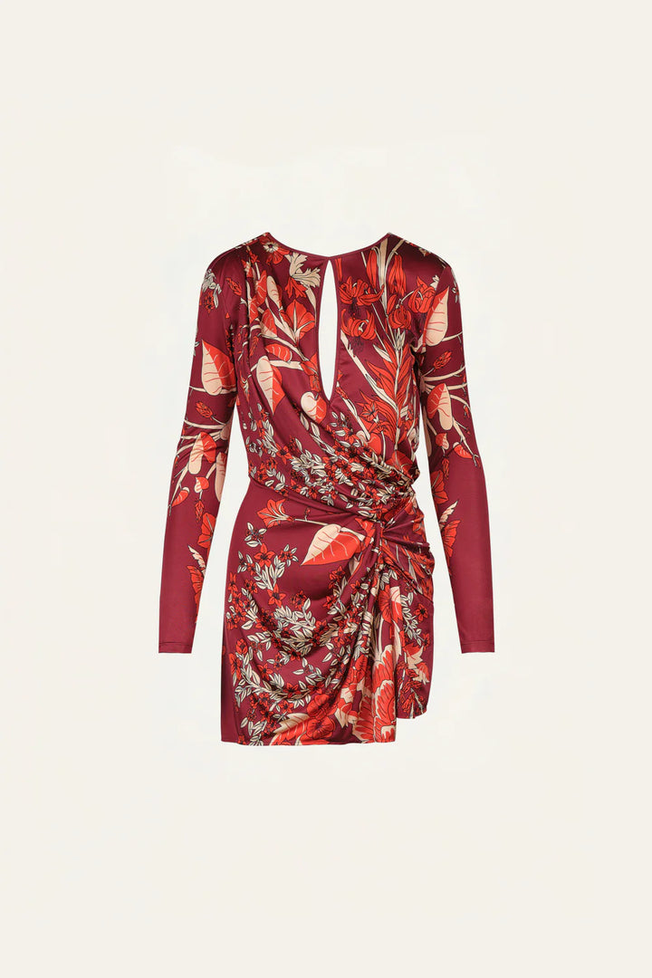 Rainforest Canopy Mini Dress - Garnet