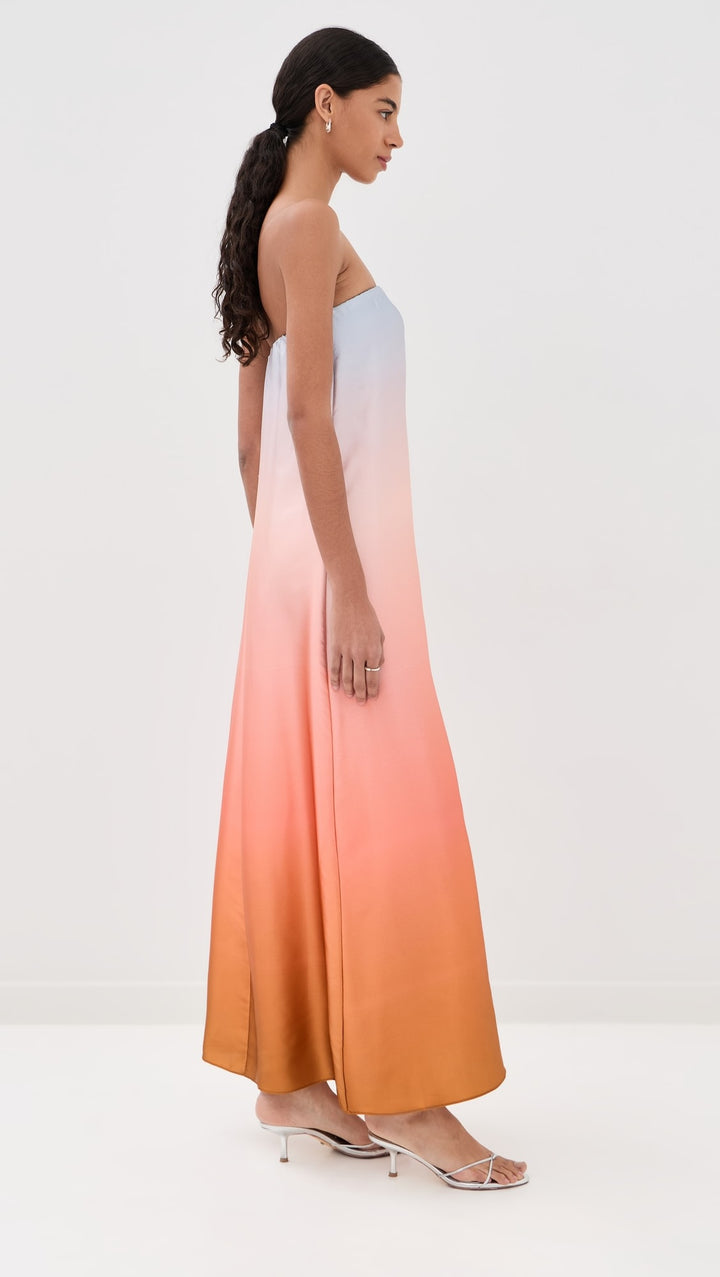 Arden Strapless Silk Ombre Maxi Dress - Pink Multi