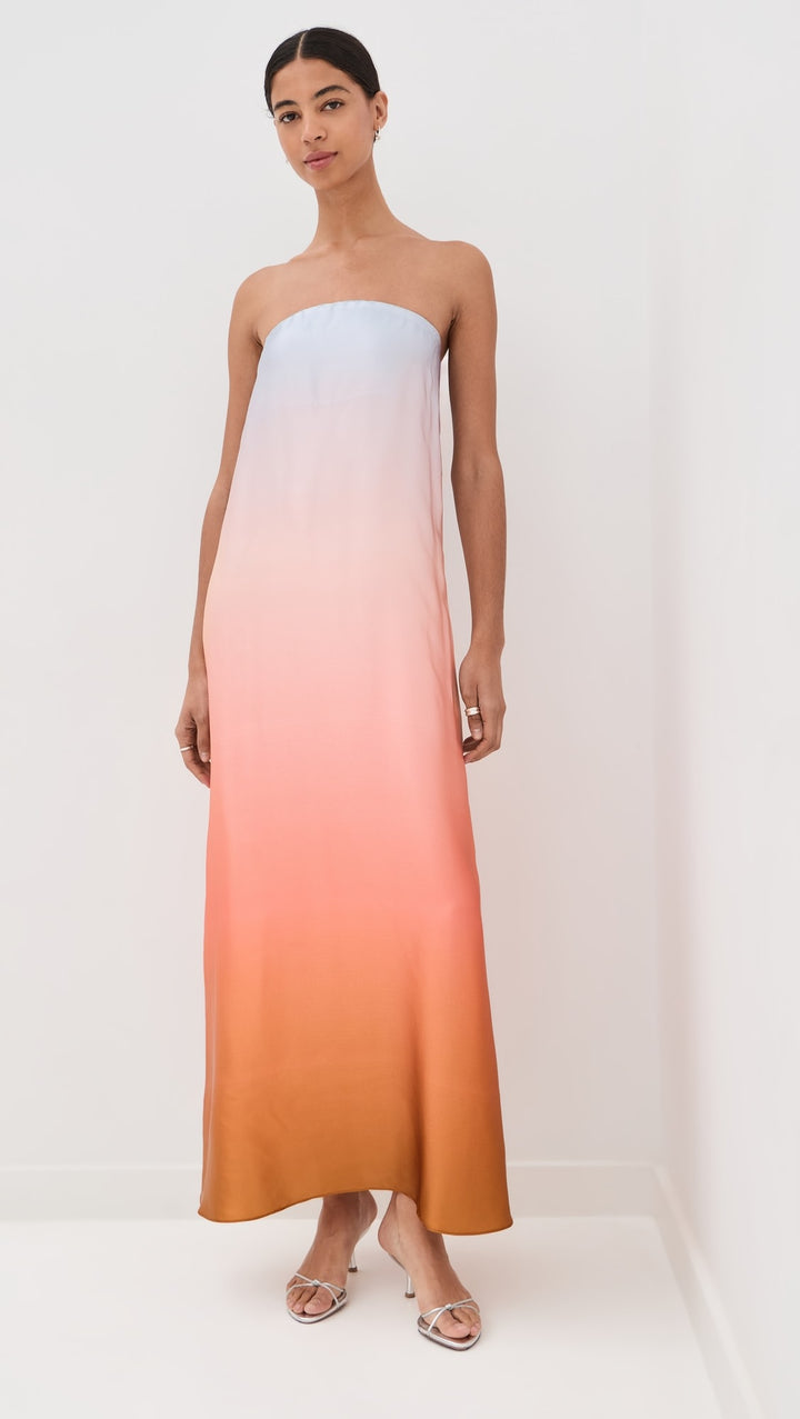 Arden Strapless Silk Ombre Maxi Dress - Pink Multi