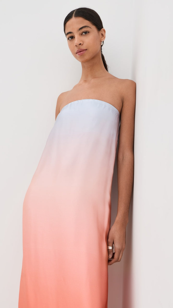 Arden Strapless Silk Ombre Maxi Dress - Pink Multi