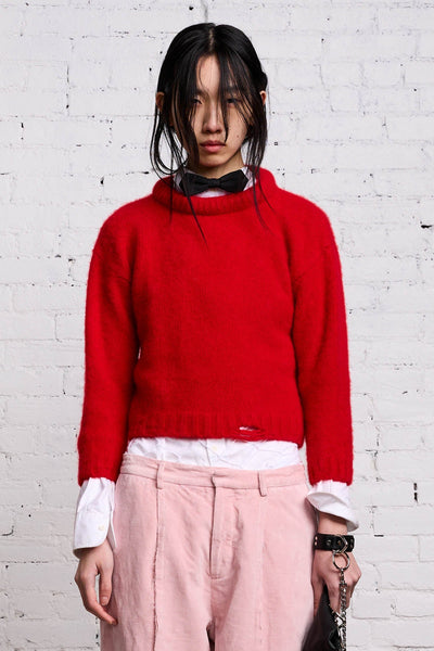 Shrunken Crewneck - Red