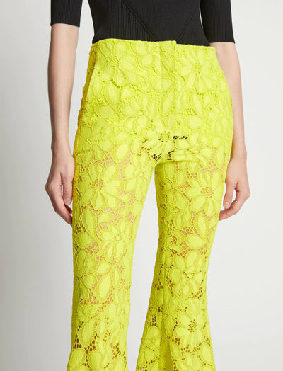 Lace Suiting Pant - Citron