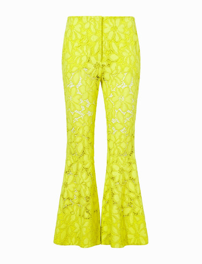 Lace Suiting Pant - Citron