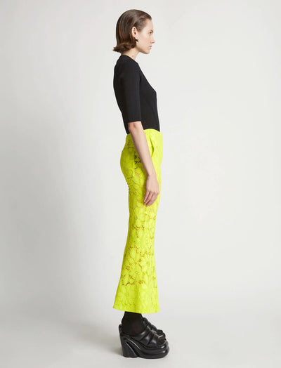 Lace Suiting Pant - Citron