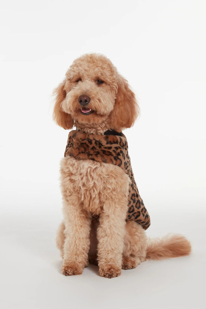 Carter Pet Vest - Leopard