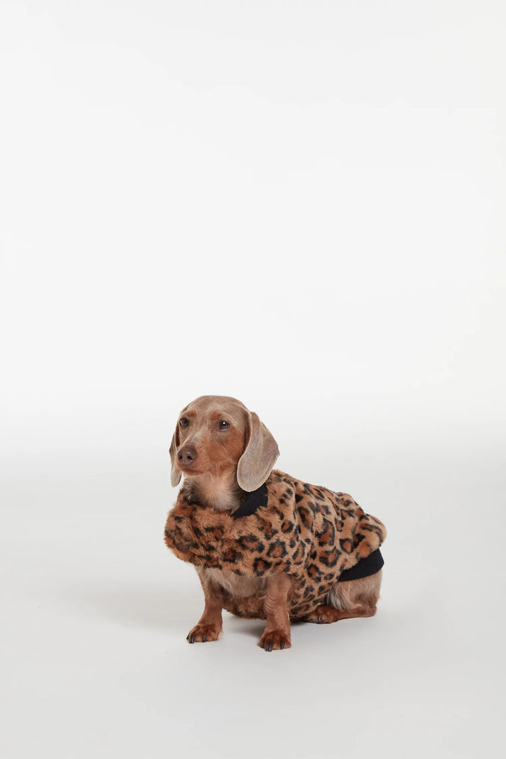 Carter Pet Vest - Leopard
