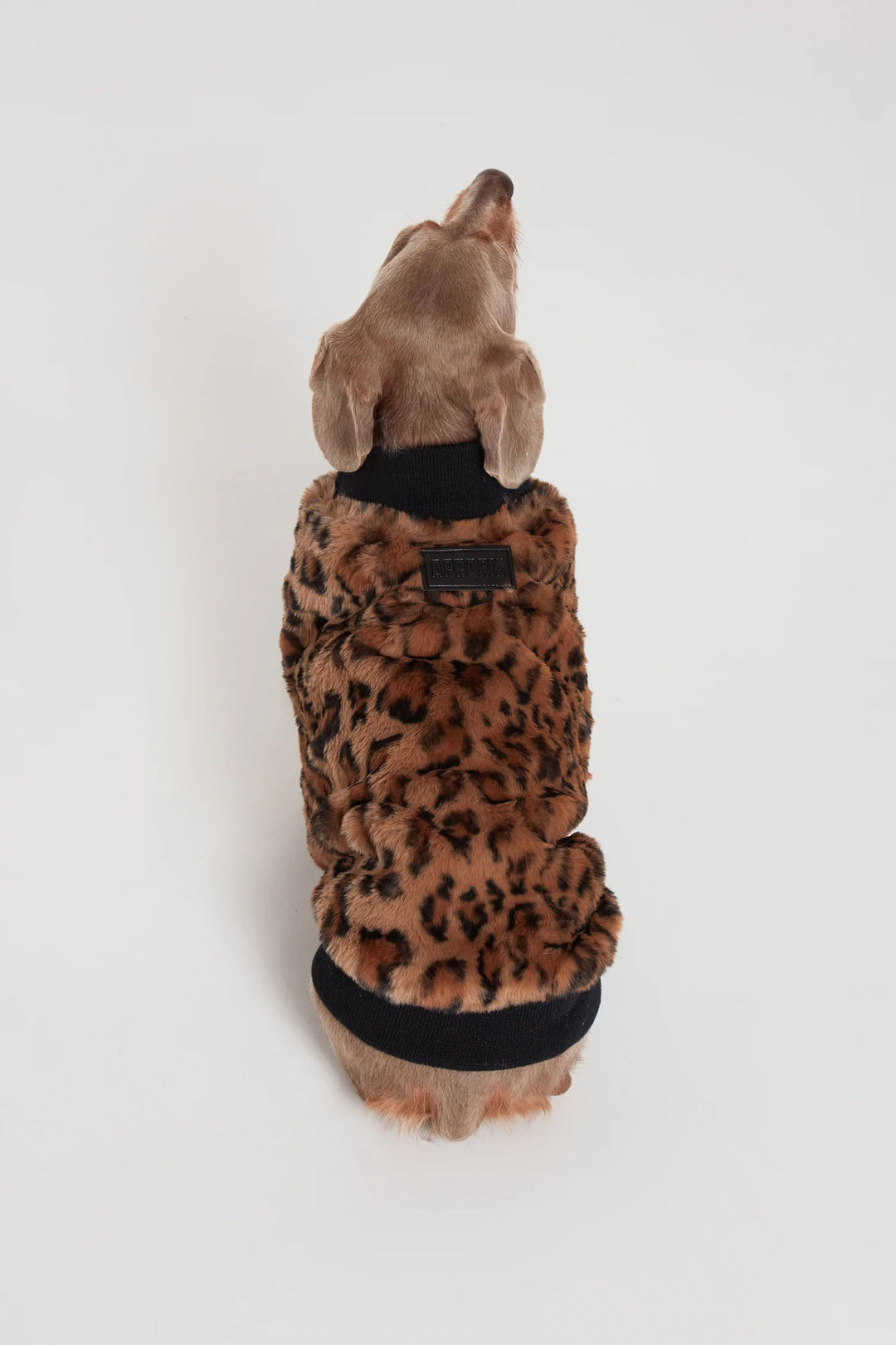 Carter Pet Vest - Leopard